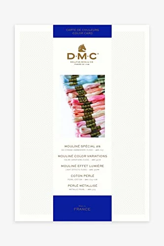 DMC W100B — nuancier Mouliné et Perlé — visuel de la référence